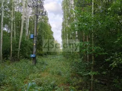 10660/3098/OGS - zdjęcie nr 5
