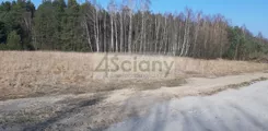 9233/3098/OGS - zdjęcie nr 1