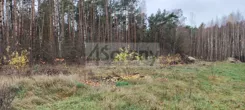 9289/3098/OGS - zdjęcie nr 1