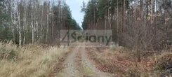 9289/3098/OGS - zdjęcie nr 2