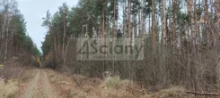 9289/3098/OGS - zdjęcie nr 3