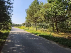 10658/3098/OGS - zdjęcie nr 3