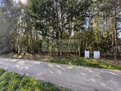 10658/3098/OGS - zdjęcie nr 5