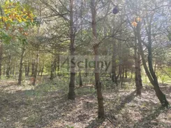 10659/3098/OGS - zdjęcie nr 2