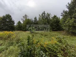 8579/3098/OGS - zdjęcie nr 0