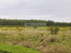 8580/3098/OGS - zdjęcie nr 4