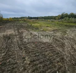 9007/3098/OGS - zdjęcie nr 1