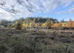 10409/3098/OGS - zdjęcie nr 2