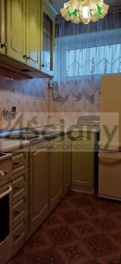 66339/3098/OMS - zdjęcie nr 3