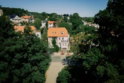 657372089 - zdjęcie nr 1
