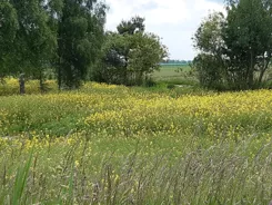 640486 - zdjęcie nr 3