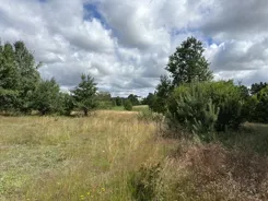 949394 - zdjęcie nr 4