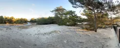 965333717 - zdjęcie nr 0