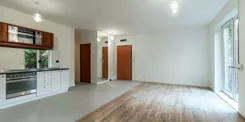 461230 - zdjęcie nr 2
