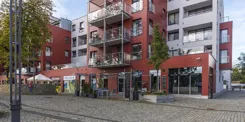 223383 - zdjęcie nr 3