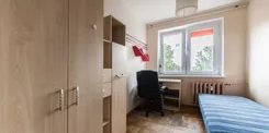 142594 - zdjęcie nr 2