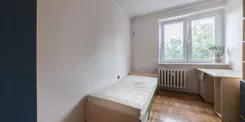 142594 - zdjęcie nr 4