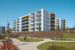 Optima - zdjęcie nr 3
