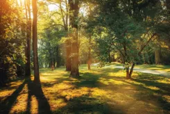 Piasta Park II - zdjęcie nr 3