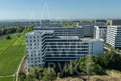 Piasta Park VI - zdjęcie nr 0