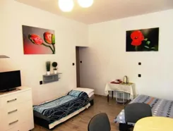 21449 - zdjęcie nr 4