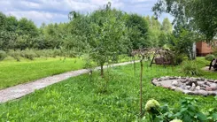 24432 - zdjęcie nr 4