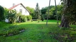 24961 - zdjęcie nr 0