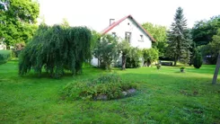 24961 - zdjęcie nr 3