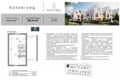 24304 - zdjęcie nr 3