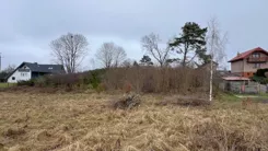 24565 - zdjęcie nr 2