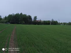 20475 - zdjęcie nr 3