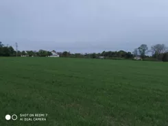 20475 - zdjęcie nr 4