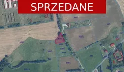 24367 - zdjęcie nr 2