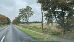 24476 - zdjęcie nr 2