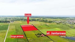 24941 - zdjęcie nr 2