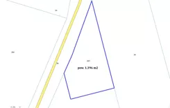 25006 - zdjęcie nr 3