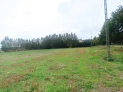 24030 - zdjęcie nr 0