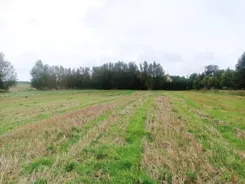 24030 - zdjęcie nr 3