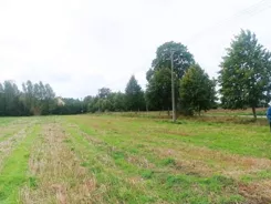 24030 - zdjęcie nr 4