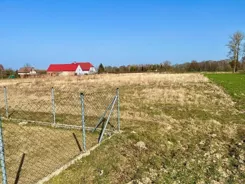 23605 - zdjęcie nr 2