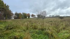 24662 - zdjęcie nr 3
