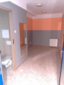 24667 - zdjęcie nr 3