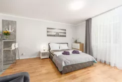 24583 - zdjęcie nr 2