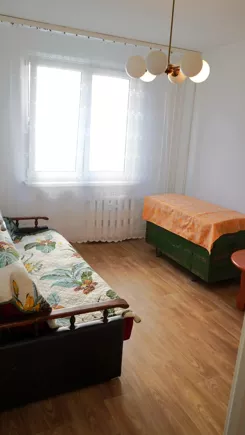 24816 - zdjęcie nr 3