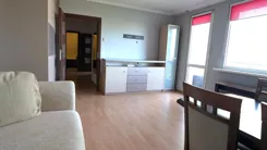 24571 - zdjęcie nr 2