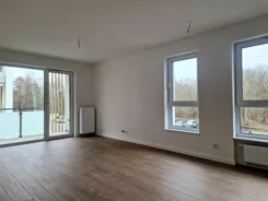 24309 - zdjęcie nr 1
