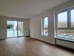 24309 - zdjęcie nr 2