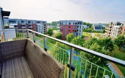 24542 - zdjęcie nr 0
