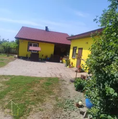 193-DS-FYsfc4UjoL - zdjęcie nr 4