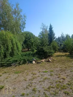 278-DS-FYsfc4UjoL - zdjęcie nr 4